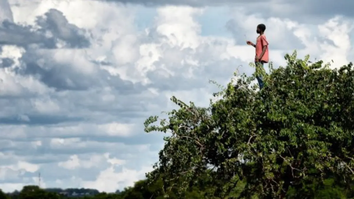 Printemps des poètes - Visite commentée,  “Liberté, force vive déployée”