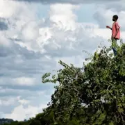 Printemps des poètes - Visite commentée,  “Liberté, force vive déployée”