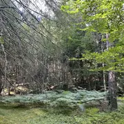 Printemps Des Sens - Séjour Ouïe Et Toucher