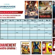 Programme cinéma  du 17 au 23 décembre