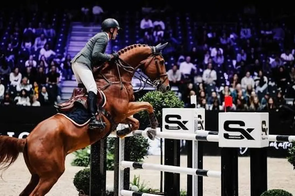 Programme d'Equita Lyon 2026 : les comp&eacute;titions et spectacles &eacute;questres jour par jour