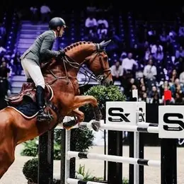 Programme d'Equita Lyon 2026 : les compétitions et spectacles équestres jour par jour