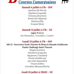 Programme d'été du Club Taurin Lou Bouvaou