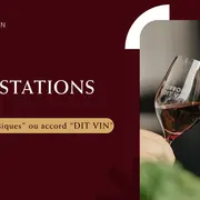 Programme de dégustation | Cave Terroir dit Vin
