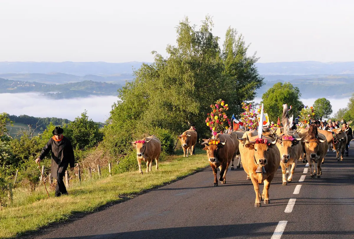 L'Aubrac en Transhumance : détail du programme 2026