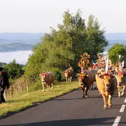Programme de L'Aubrac en Transhumance 2026 : les animations à Saint-Chély-d'Aubrac et au village d'Aubrac