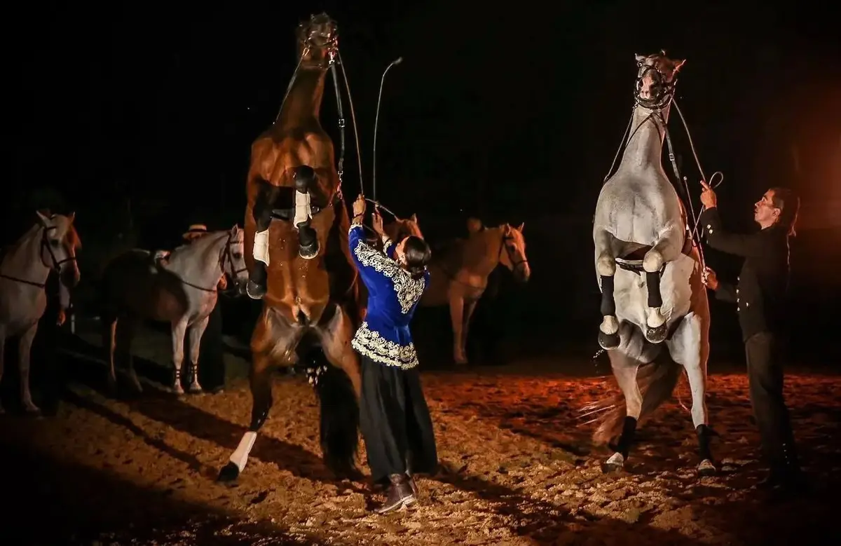 Programme de la F&eacute;ria de Marboz 2026 : concerts, spectacles &eacute;questres et bandas au c&oelig;ur de l'Ain