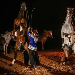 Programme de la Féria de Marboz 2026 : concerts, spectacles équestres et bandas au cœur de l'Ain