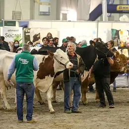 Programme de la Ferme Expo Tours 2026 : les animations et concours des 13, 14 et 15 novembre