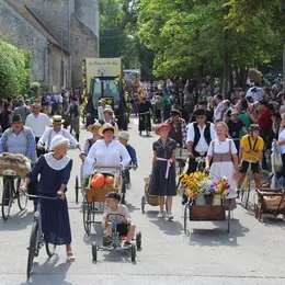 Programme de la Fête de la Moisson à Provins 2026 : concerts, défilés et animations dans la ville haute