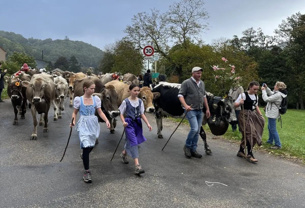 F&ecirc;te de la Transhumance &agrave; Muhlbach-sur-Munster 