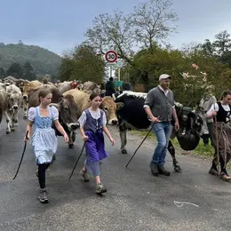 Programme de la Fête de la Transhumance 2026 à Muhlbach-sur-Munster (Wandelfescht)
