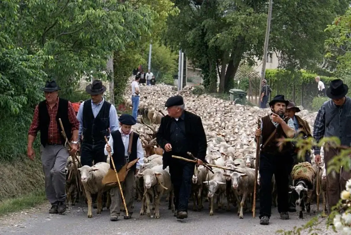 Un rituel familial et populaire ancré dans le patrimoine de la région 