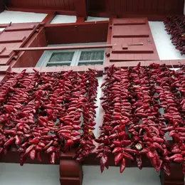 Programme de la Fête du Piment d'Espelette 2026 : deux jours de festivités basques à Espelette