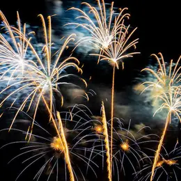 Programme de la Fête nationale 2026 à Reims : défilé militaire, concert en plein air et feu d'artifice