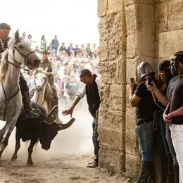 Programme de la fête votive d'Aigues-Mortes 2026 : deux semaines de traditions camarguaises
