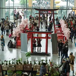 Programme de La Japan Strasbourg 2026 : robots, vaisseaux et invités au Parc des Expositions