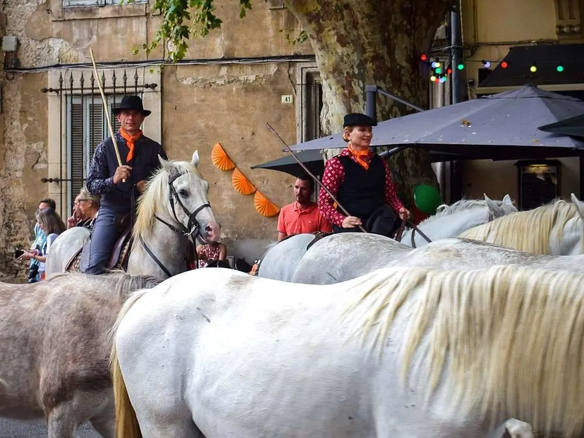 A 22h, les visiteurs pourront assister à un Roussataïo, défilé de 100 chevaux en liberté et temps fort de la manifestation.