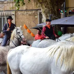 Programme de Melon en Fête 2026 à Cavaillon : dates et informations sur la fête du melon
