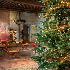 Programme 2026 de Noël au pays des châteaux : des visites féériques dans les châteaux de la Loire en Touraine