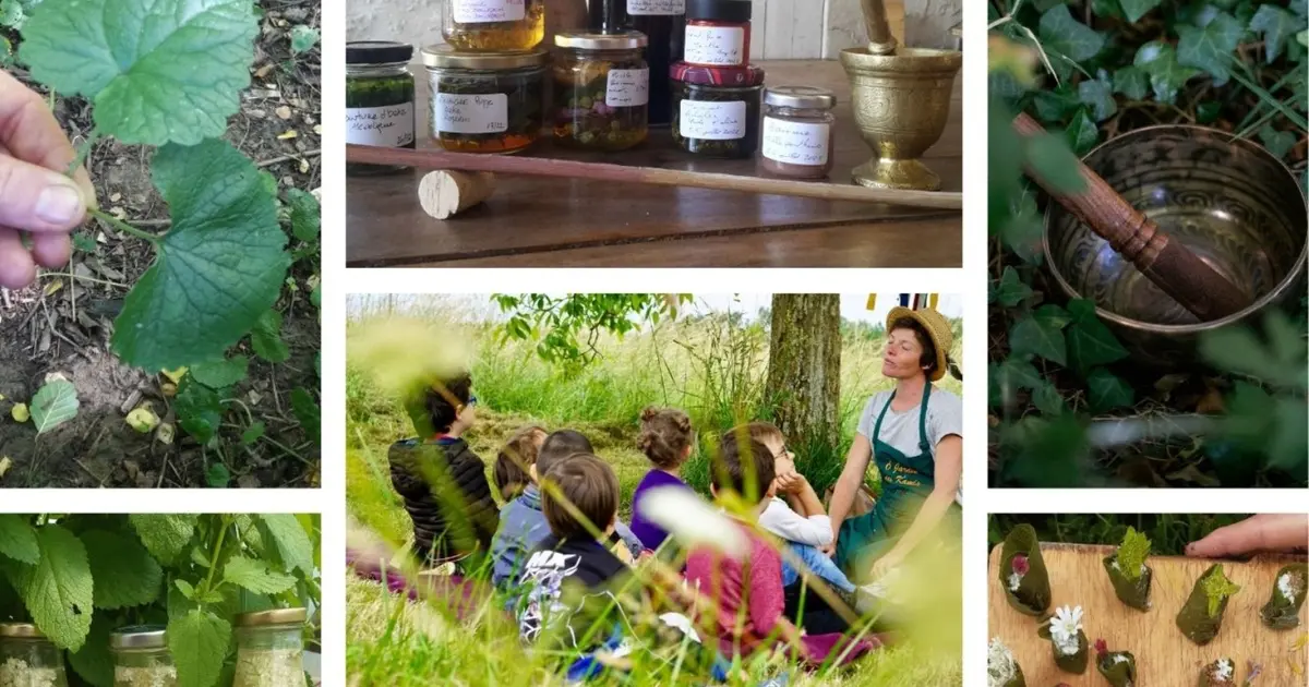 Programme des ateliers et stages d'Ô Jardin des Kamis