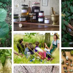 Programme des ateliers et stages d'Ô Jardin des Kamis