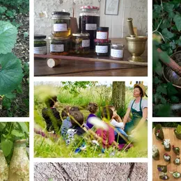 Programme des ateliers et stages d'Ô Jardin des Kamis