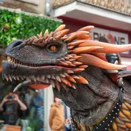 Programme des Médiévales de Bayeux 2026 : trois jours de fête médiévale dans le centre historique