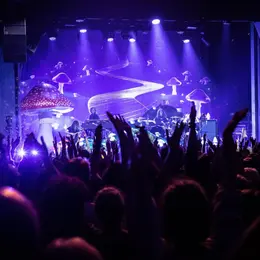 Programme des Nuits de Champagne 2026 à Troyes : concerts, artistes et soirées au fil des huit jours du festival