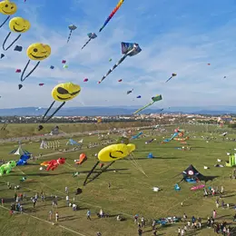 Programme du Festival International de l'Air de Fréjus 2026 : trois jours de cerfs-volants, concerts et animations
