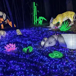 Programme du Festival Lumières Sauvages 2026 à Peaugres : dates et tarifs de la saison