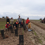 Programme du jeudi 11 juin du Festival du mieux manger