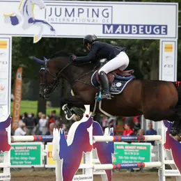Programme du Jumping International de Maubeuge 2026 : épreuves, dotations et calendrier sportif