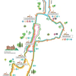 Programme du SlowUp Alsace 2026 : parcours, animations et villages festifs sur la Route des Vins
