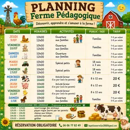 Programme estival