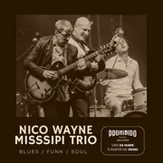 Prohibido Biarritz Jazz Club - Nico Wayne MiSSSippi Trio