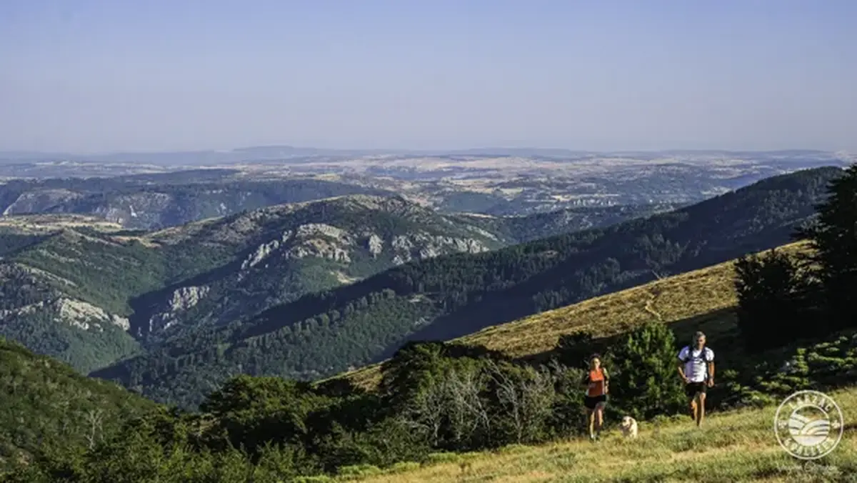 Projection Après quoi tu cours?