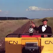 Projection - Comédies des sixties -