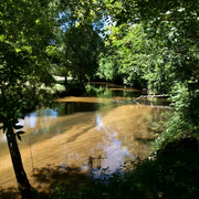 Projection d'un film pour enfant - Au fil de l'eau