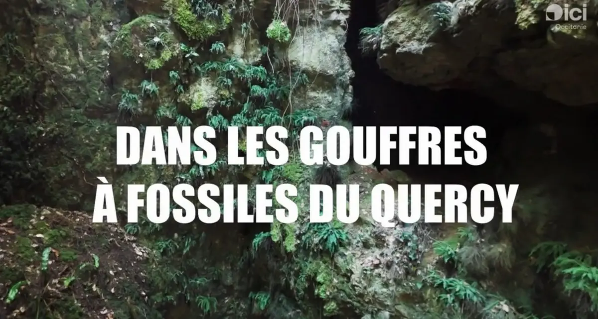Projection : Dans les gouffres à fossiles du Quercy