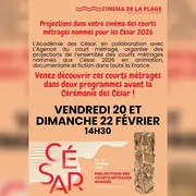 Projection de courts métrages nommés