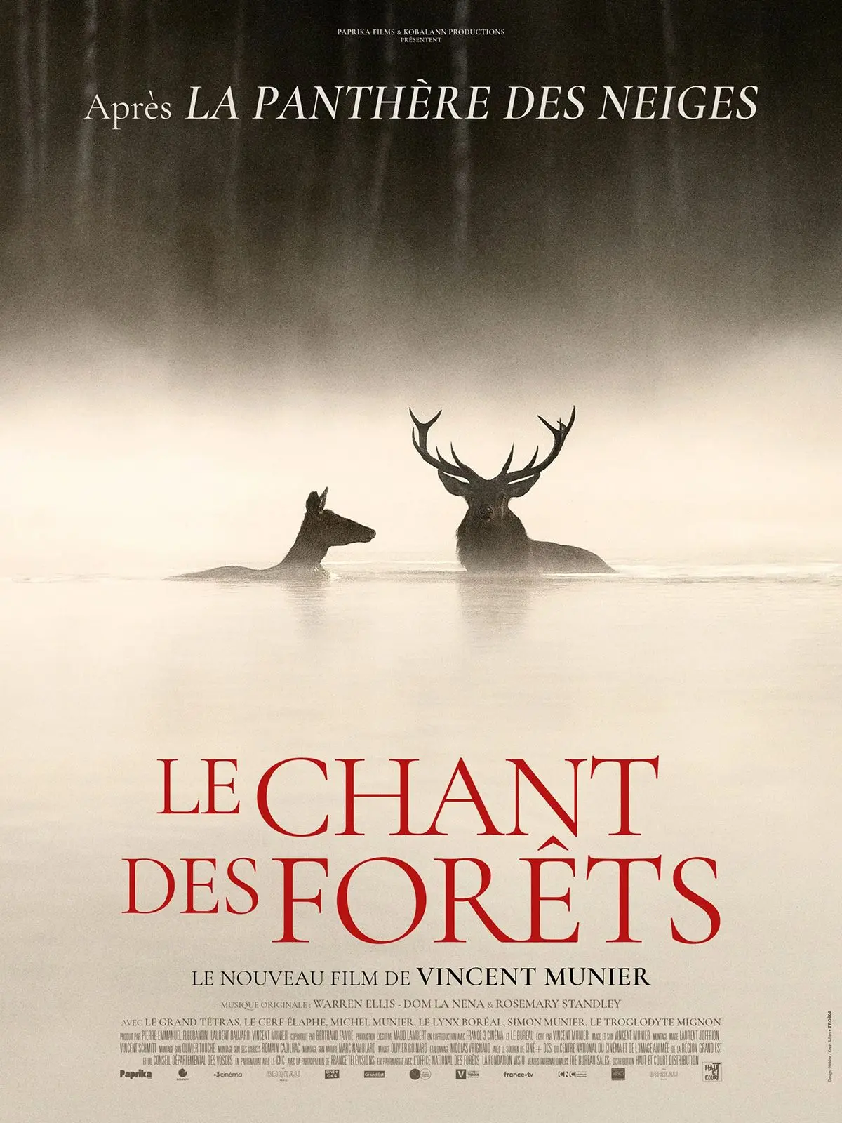 Projection de film : Le Chant des Forêts