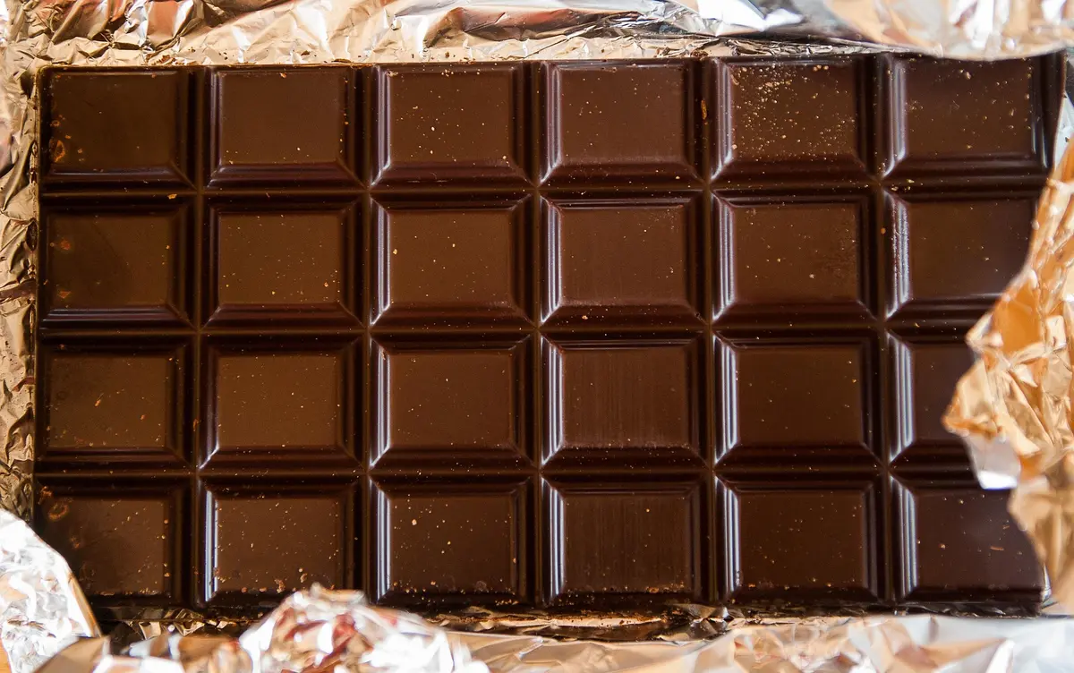 Projection-Débat-Dégustation : Le Chocolat Fait-Il Fondre La Banquise ?