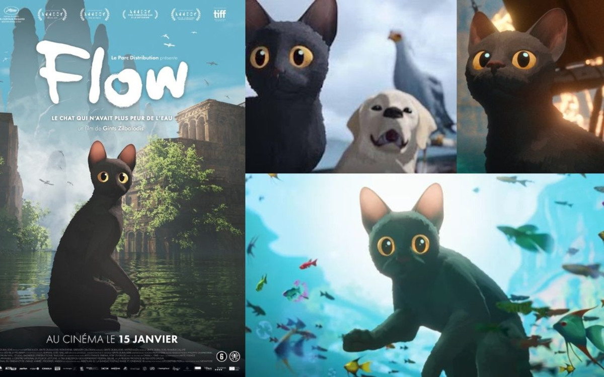 Projection du film d'animation : Flow, le chat qui n'avait plus peur de l'eau