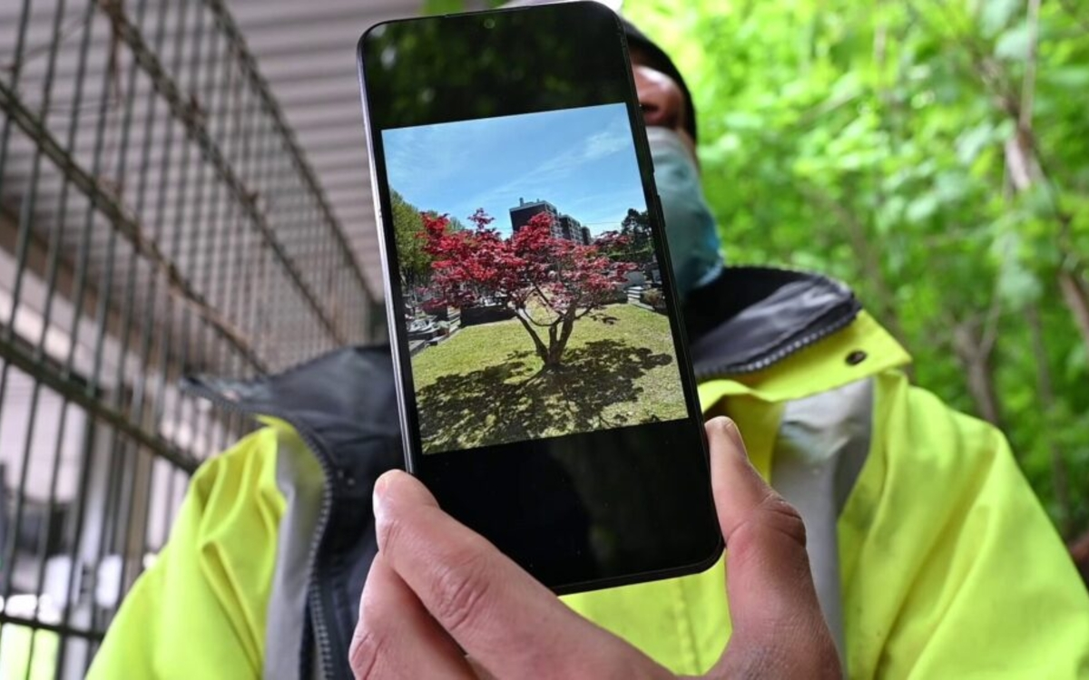Projection du film documentaire L'Île des possibles