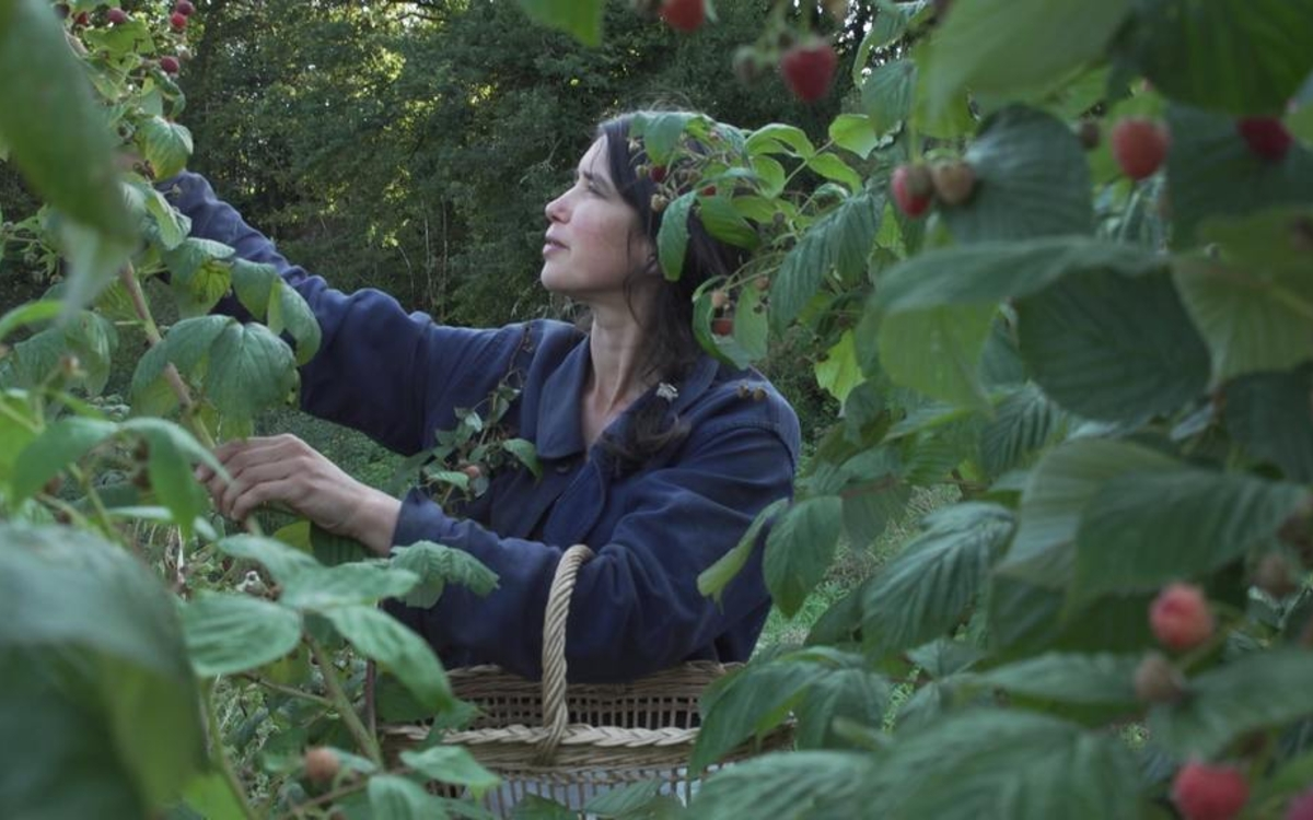 Projection du film documentaire La Terre du milieu