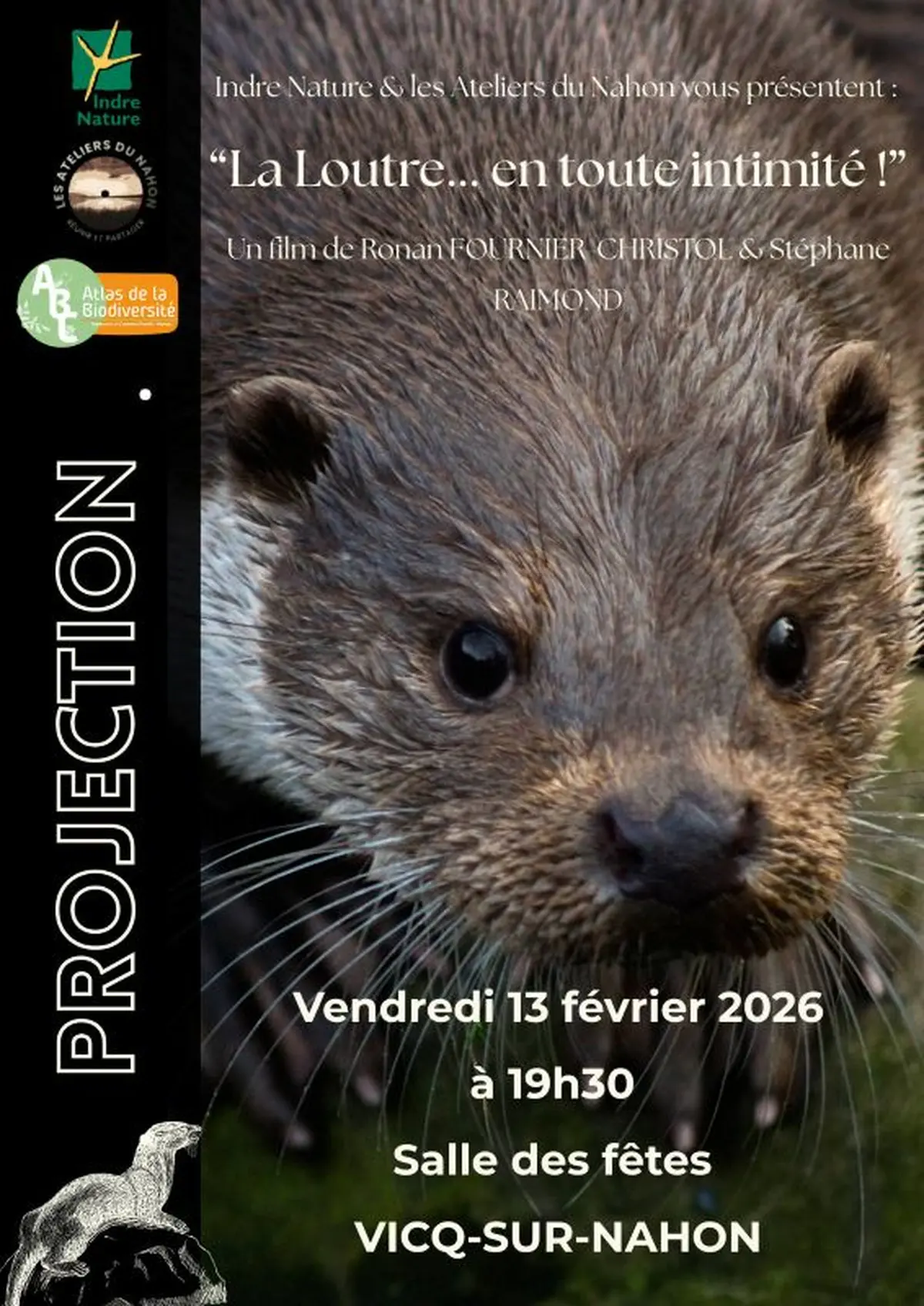 Projection du film La loutre en toute intimité
