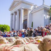 Projection du film La transhumance à Saint-Rémy-de-Provence
