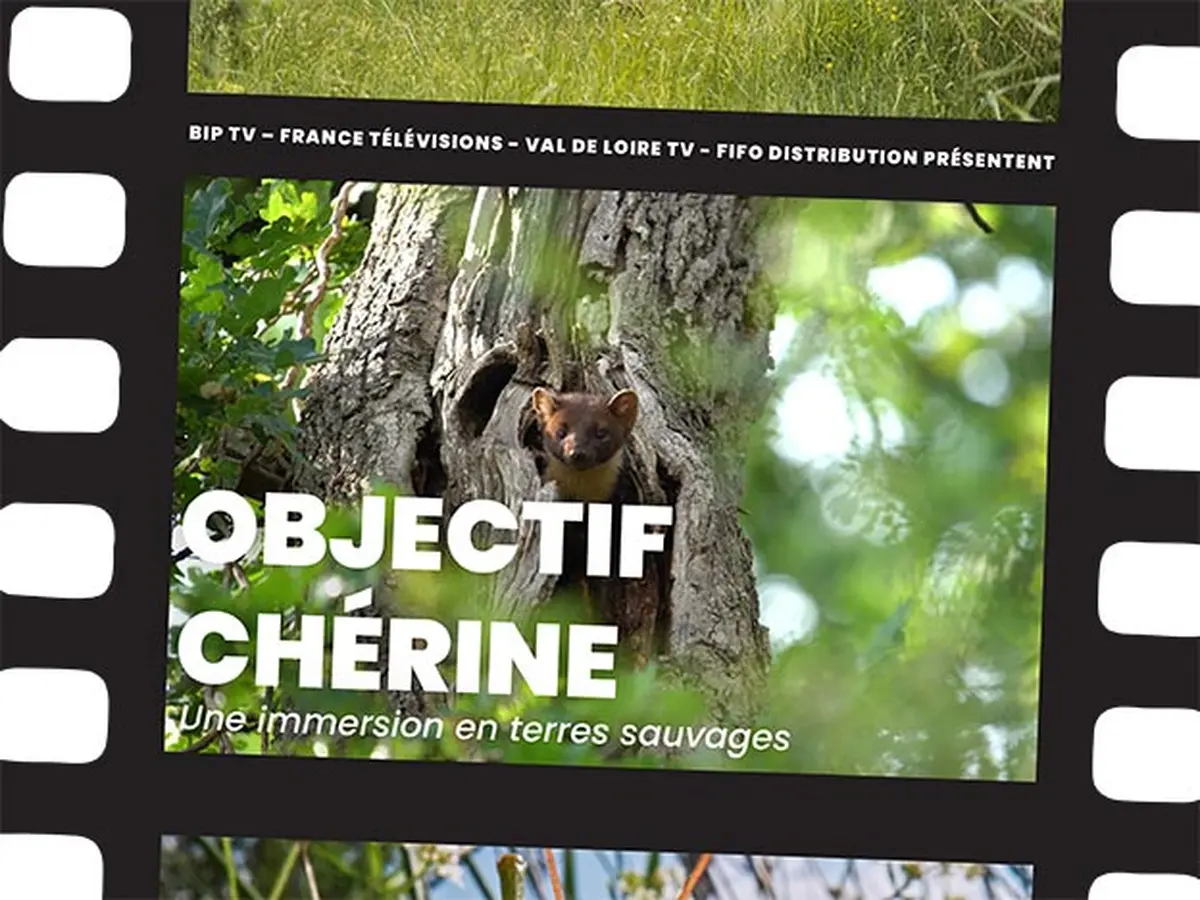 Projection du film Objectif Chérine