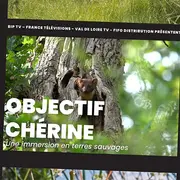 Projection du film Objectif Chérine